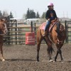 Viking Gymkhana Club Family Fun Day Photos!