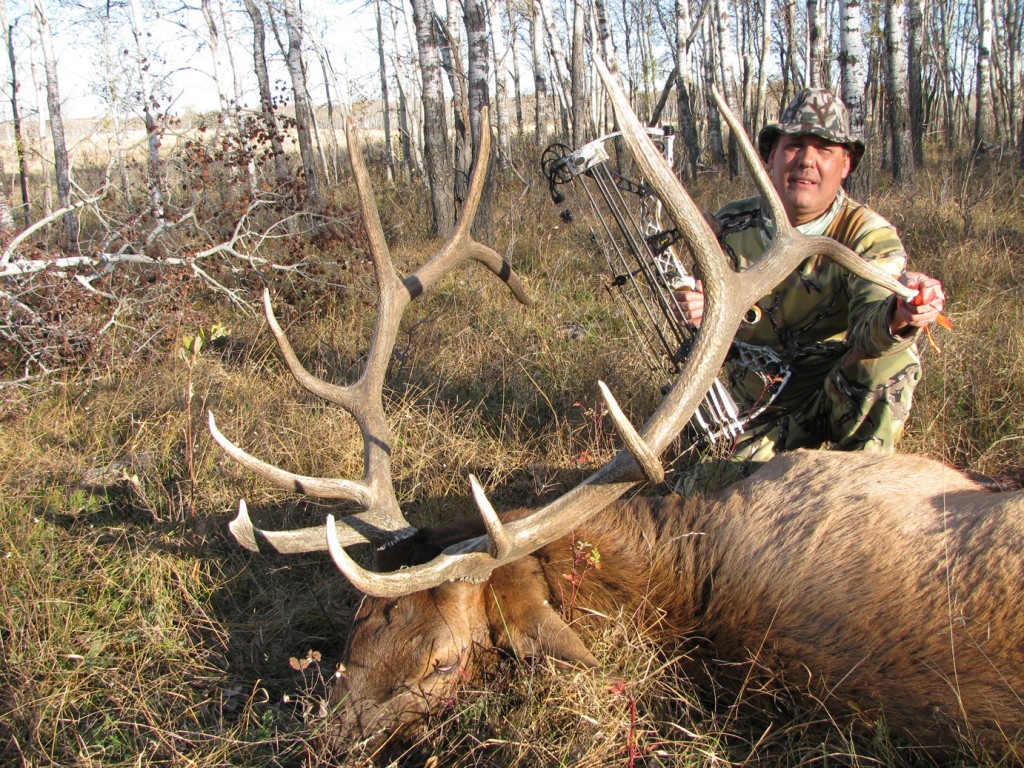Wildlife officer records low numbers