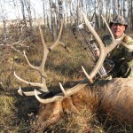 Wildlife officer records low numbers