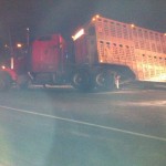 Cattle liner accident