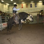 Viking Bull Bash fun for all