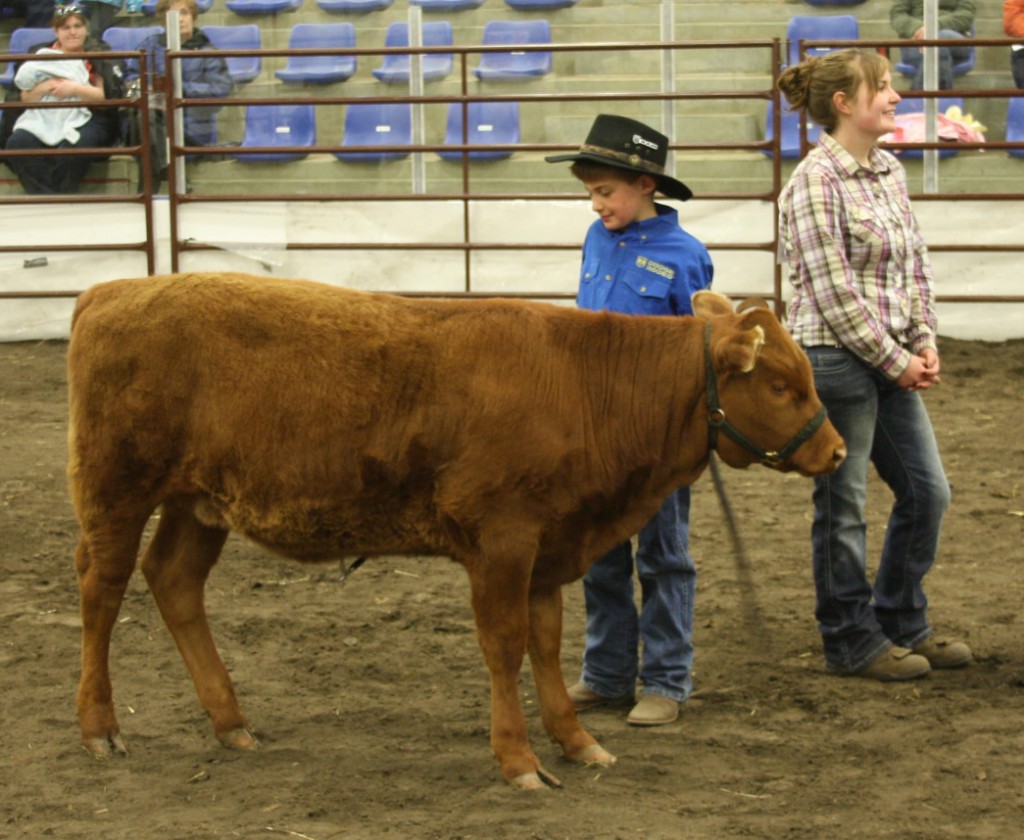 Beaver District 4-H Beef Clubs gather in Viking