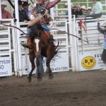 Rain didn’t dampen the spirits of those celebrating 100th Bruce Stampede