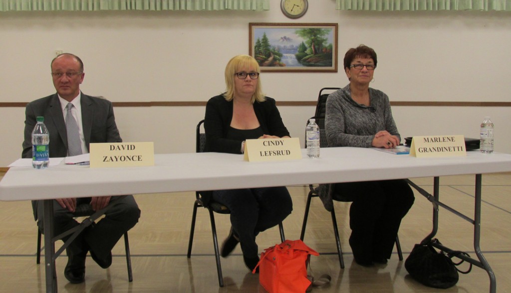 Three vying for Viking Mayor at candidates forum