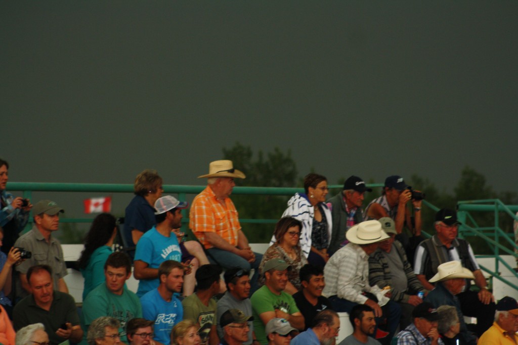 Rain and wind shorten Kinsella Bullarama: Safety a concern