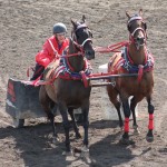 Bruce Stampede
