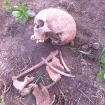 Human remains unearthed near Viking