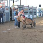 Graveldome Bullarama celebrates 18 years
