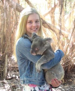 Australia Koala