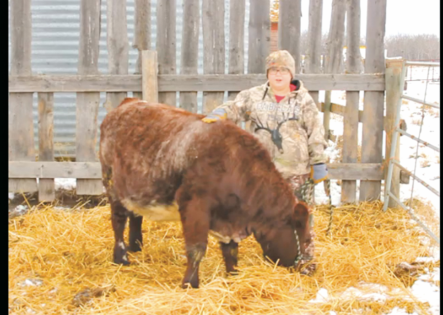 Irma 4-H member is “Proud to Bee a 4-H’er”: Voting deadline Nov. 30