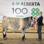 Beaver District 4-H Beef Show and Sale at Tofield Arena