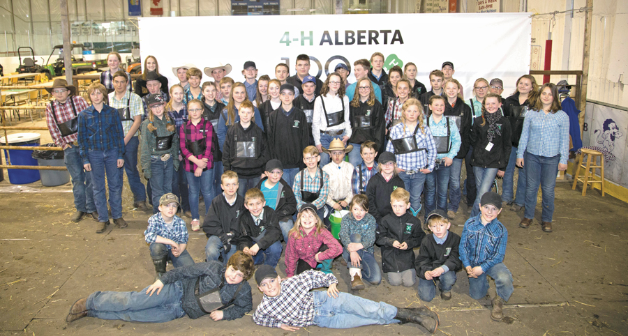 Viking and Holden 4-H hold achievement days