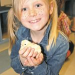 Check out these chicks!