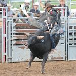 19th annual Graveldome Bullarama hits Kinsella