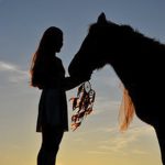 New 4-H Horse Club in Viking invites young horse lovers to learn the art of horsemanship