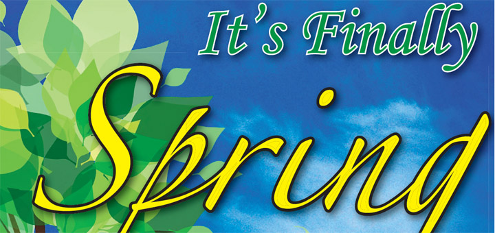 Read the 2018 Spring Section for FREE here!