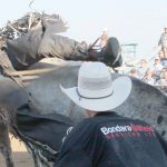 20th annual Kinsella Bullarama full of big impact