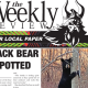 Black Bear Spotted! Read the May 12 paper now!