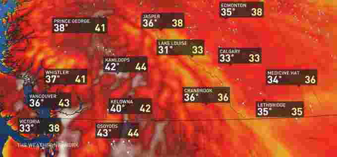 Protecting your family in this and future heat waves