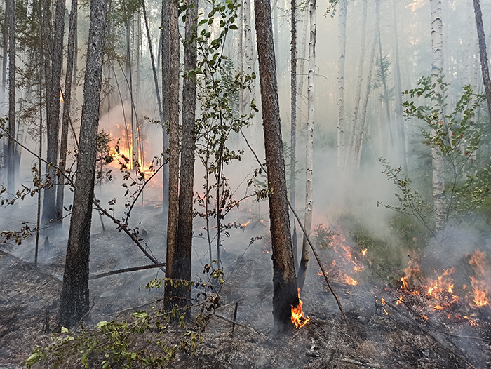 Alberta government gives first weekly wildfire update
