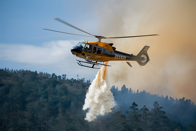Precipitation helps stave off wildfires across Alberta