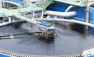 Waste water treatment ponds from industrial plants