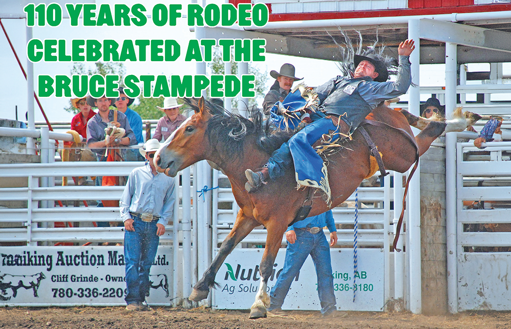 Buy the July 31 Weekly Review here: