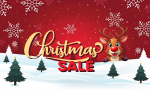 Christmas Subscription Sale